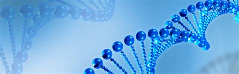 MSc – Microbiology - Ramaiah College of Arts, Science and Commerce