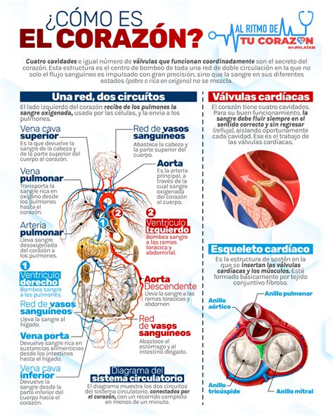 Al ritmo de tu corazón - Phlatames