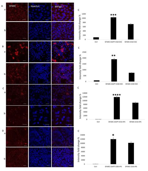 Enhanced Osteogenic Differentiation of Pluripotent Stem Cells via γ ...
