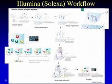 illumina solexa ppt genome sequencing and assembly high throughput illumina solexa ppt genome sequencing and assembly high throughput