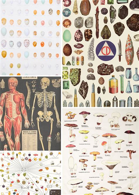 Image result for Example of Chart Craft