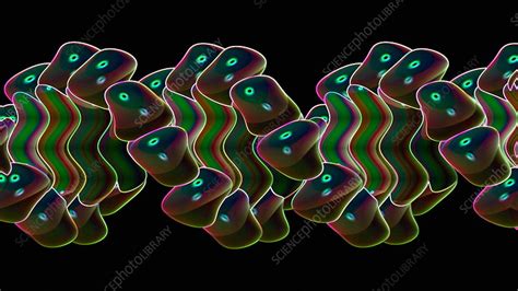 Image result for Reading DNA Animation