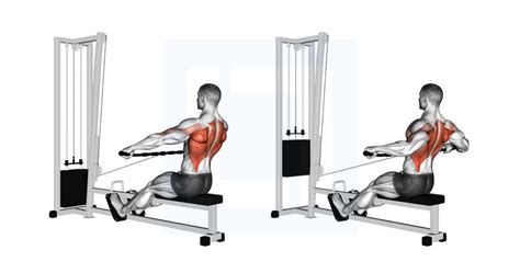 Image result for Inverted Row Proper Form