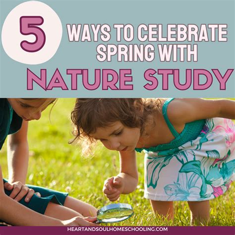 Activities in Spring 的图像结果