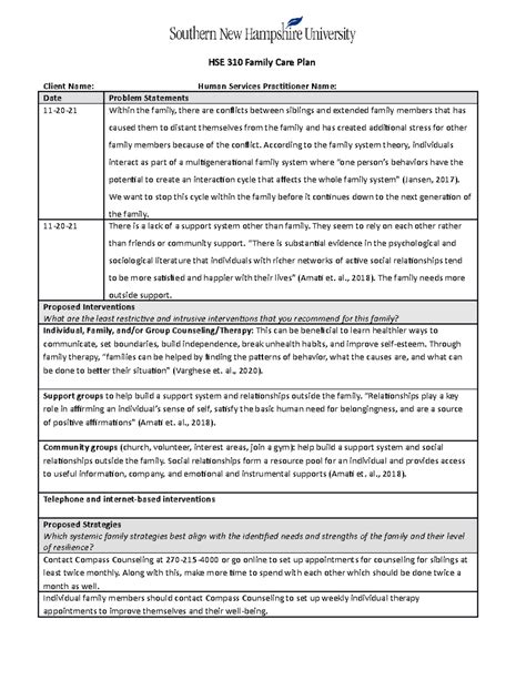 4-1 Activity Family Care Plan - HSE 310 Family Care Plan Client Name ...