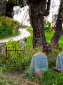 Burial Services | Dannel Funeral Home, Sherman TX