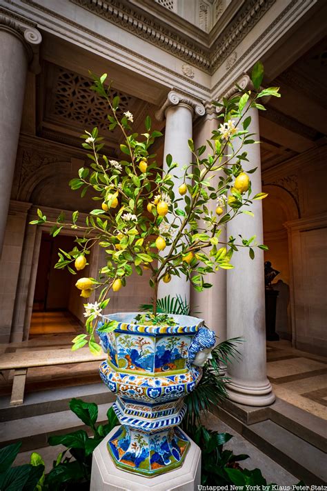 Image result for Frick Collection