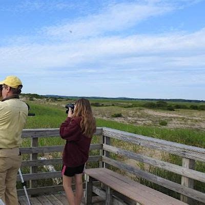 Guided Birdwatching Plum Island in Newburyport, 6 Plum Island Turnpike ...
