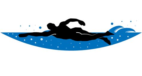 Swim Clip Art 的图像结果