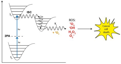 Prospects for More Efficient Multi-Photon Absorption Photosensitizers ...