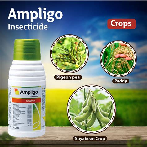 Syngenta Ampligo Insecticide – Agriplex
