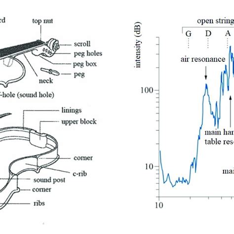 String Instrument 的图像结果
