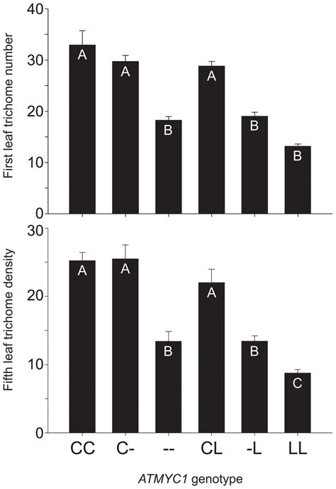 Complementation Test Kit 的图像结果