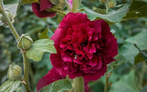 hope slots win 777,In the world of online gaming