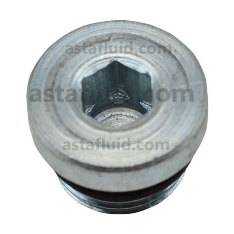 Socket Head Plug, VSTIG02E, 1/4" BSP- HYLOC – astafluid