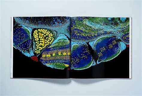 Image result for Graphcore