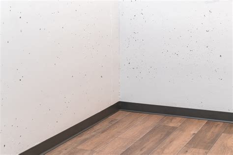 Trillium & Summerlin - Coquitlam - Interior Design Upgrade Remdal