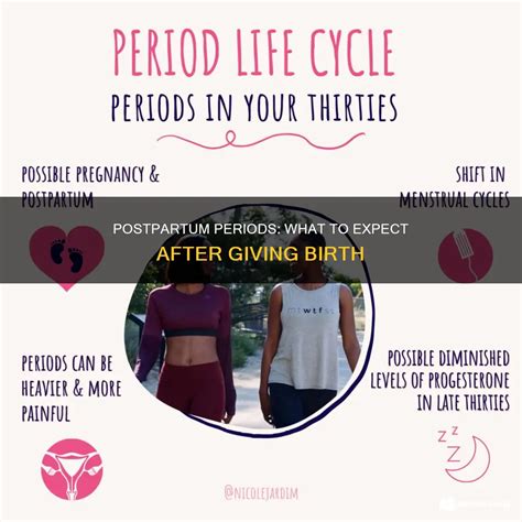 Postpartum Periods: What To Expect After Giving Birth | ShunChild