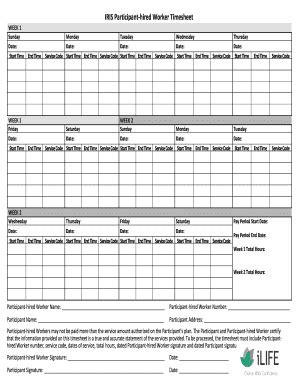iLIFE IRIS Participant-Hired Worker Time Sheet - Blank Fillable ...