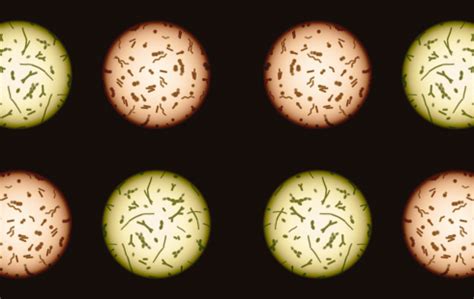 What Is Biotech 的图像结果