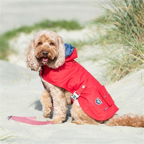 Hugo & Hudson Raincoat for Dogs Red - CatDog Ltd