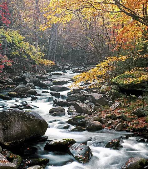 Turkey Creek Campground Almond NC: Camping by the Creek