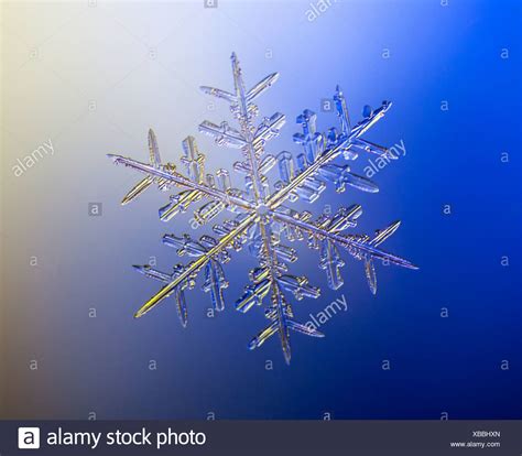 Snowflakes Microscope High Resolution Stock Photography and Images - Alamy
