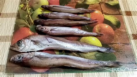 Рыба путассу - польза, вред и рецепты приготовления