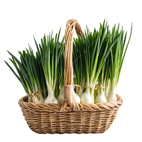 Organic Green Onions In Rustic Basket, Fresh Spring Onions, Healthy ...