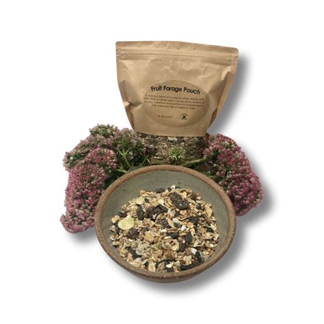 Fruit Forage Pouch - Chickens to Your Door