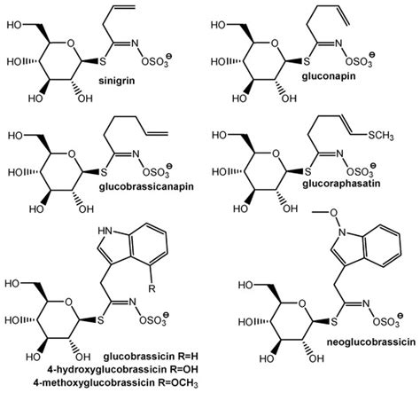 Symmetrical Antioxidant and Antibacterial Properties of Four Romanian ...