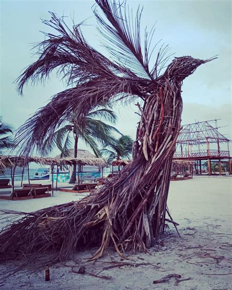 Juan Pedro San Segundo (@juanpssv) • Instagram photos and videos