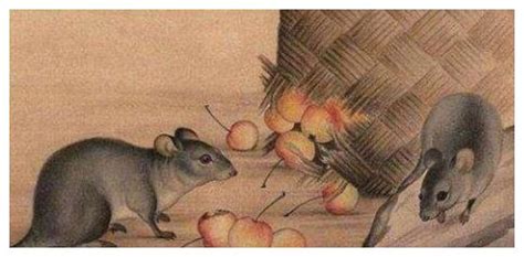 生肖鼠：12个月份12种命，这几月出生的鼠鼠，天生上等命有大出息__财经头条