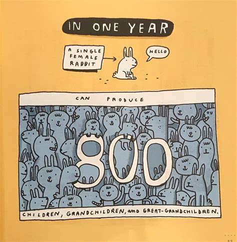 Rabbit Math 1 Computer 的图像结果