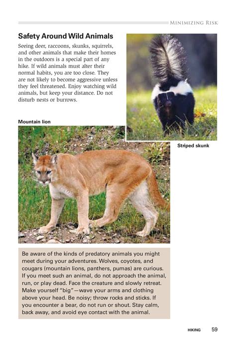 Hiking Merit Badge Pamphlet - Troop 19 - Page 61 | Flip PDF Online ...