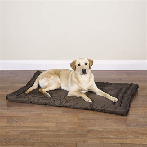 Best Dog Water Mat at Laura Painter blog