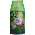 Buy Air wick Freshmatic Refill Rain Forest Walk - With Cucumber, Green ...