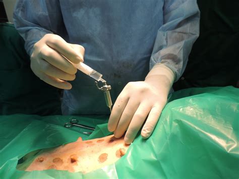 Mumbai Veterinary College