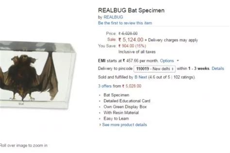 Amazon India's Selling Preserved Snakes, Scorpions & Heart Specimens On ...