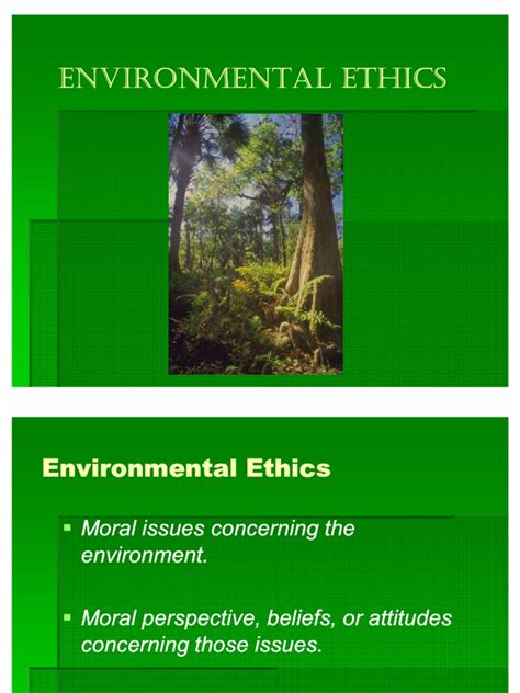 Image result for Environmental Ethics Example