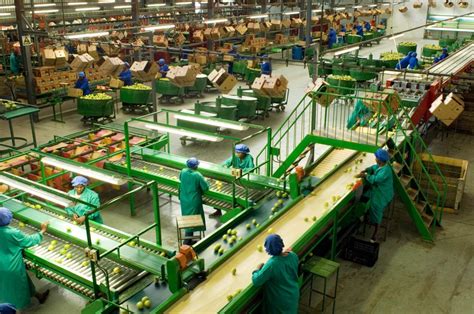 Industry Development 的图像结果