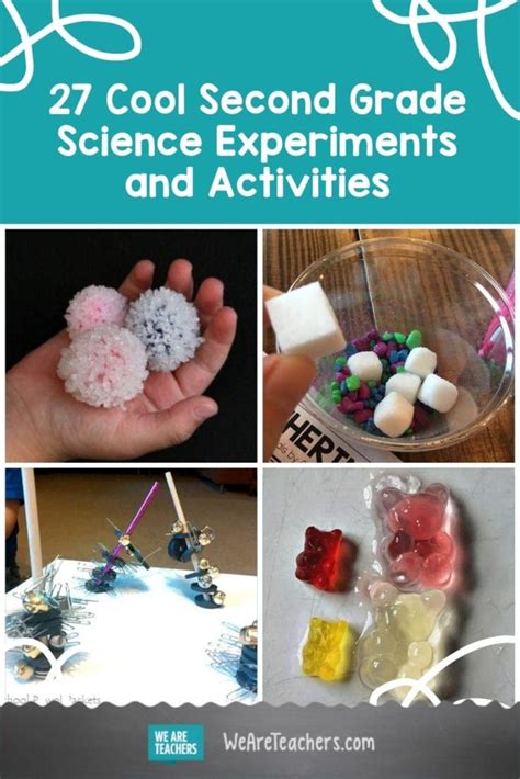 Science Experiments for 2nd Grade 的图像结果