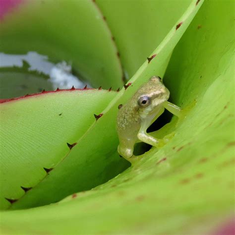 HOME - SIT Study Abroad