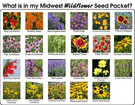 Jasper–Dubois County Public Library – The Public Library of Dubois ...