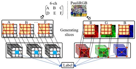 Dual-Branch Deep Convolution Neural Network for Polarimetric SAR Image ...