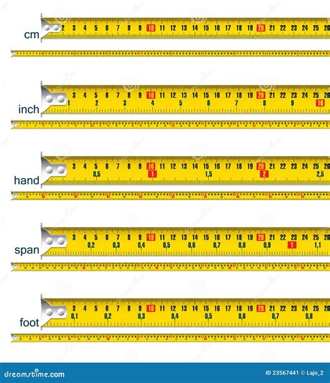 Tape Measure in Cm, Inch, Hand, Span and Foot Stock Vector ...