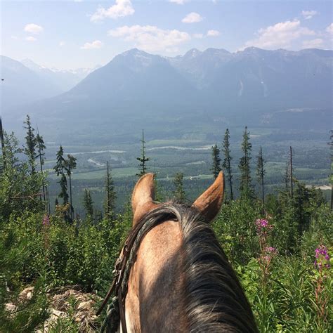 COWGIRL UP ADVENTURES (2026) All You Need to Know BEFORE You Go (with ...