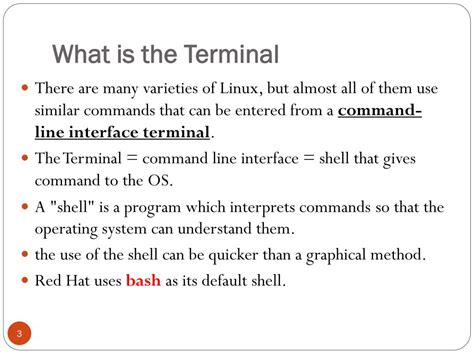 Image result for Terminal Explained