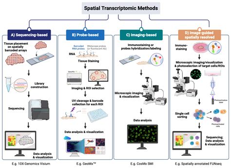 Image result for Spatial Analysis Method Pic