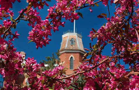 We want you to enjoy St. Patrick's Day and spring break safely ...